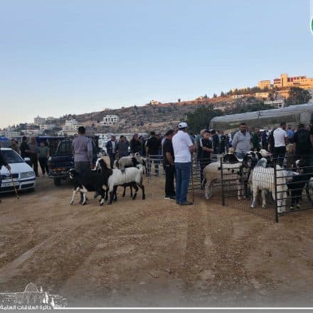 Weekly Livestock Market Opens in Dura