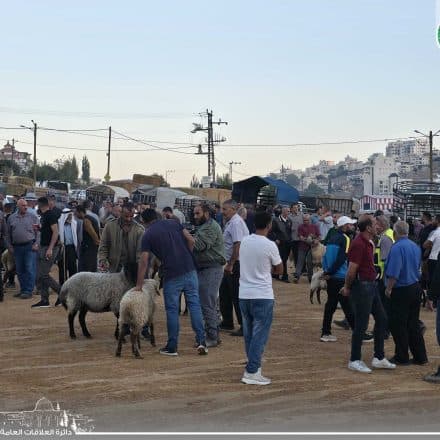 Weekly Livestock Market Opens in Dura