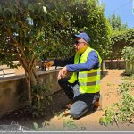 Dura Municipality Carries Out Landscaping and Maintenance Works Under Employment Program